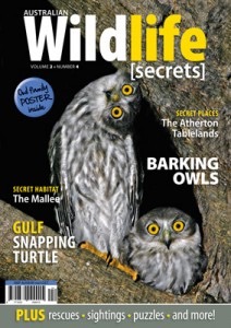 vol2no4 cover image